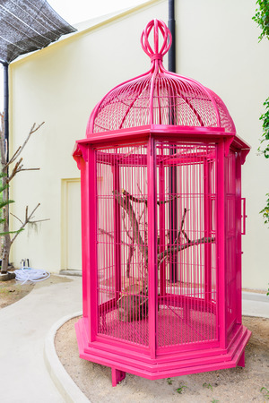 vintage birdcage with bright colorの写真素材