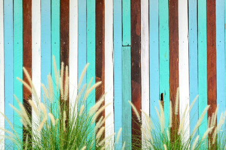 grass flowers with vintage wood wall