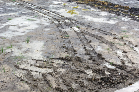 Tire tracks in the mud dirty road
