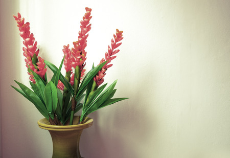 flower arrangement in vaseの写真素材