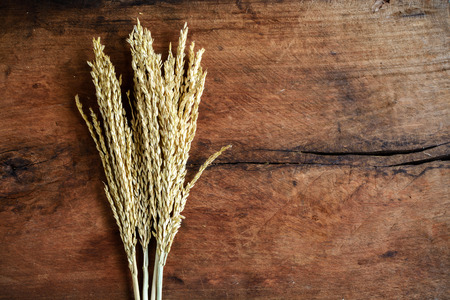 wheat on old wood background with copy spaceの写真素材