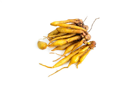 Fresh galingale (Boesenbergia rotunda) isolated on white backgroundの写真素材