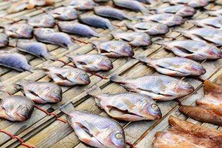 drying stock fish in Thailand, Dried fishの写真素材