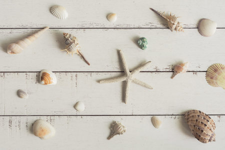 various shell on white wooden background, Top view, Travel concept