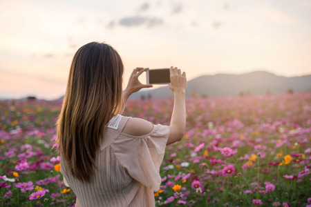 Young traveler taking photo beautiful blooming flowers fieldの写真素材