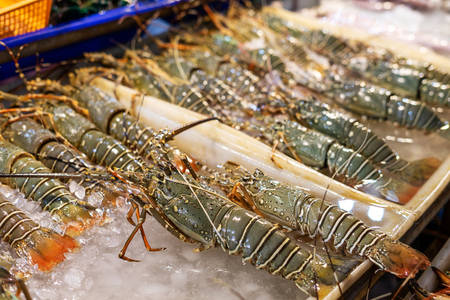 Fresh lobsters on ice for sale at local market in Phuket, Thailandの写真素材