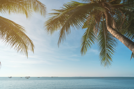 Coconut plam tree with sun and blue sky at tropical beach, Summer vacation conceptの写真素材