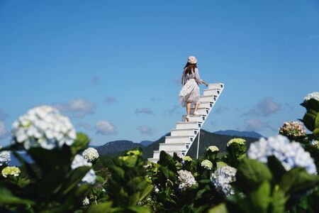 Young woman traveler enjoying with blooming hydrangeas in Dalat, Vietnam, Travel lifestyle conceptの写真素材