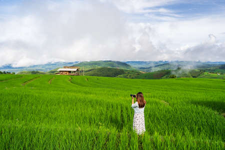 Young woman traveler on vacation taking a picture at beautiful green rice terraces field in Pa Pong Pieng, Chiangmai Thailandの写真素材
