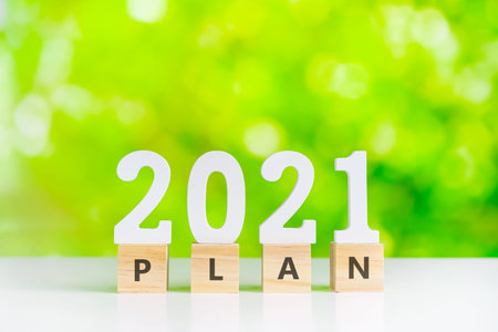 2021 business success concept with wooden blocks and green nature background