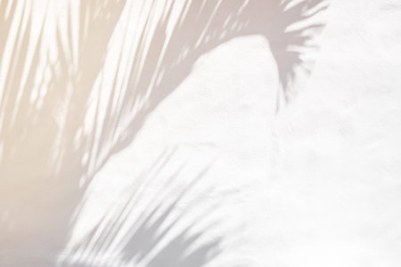 Shadow of plam leave on white cement wall background with copy space