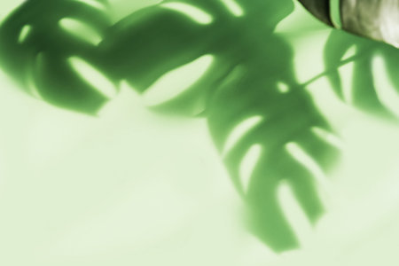 Shadow of tropical green leave on color background with copy space, Top view