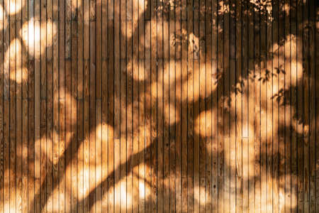 Shadow of nature leaves on old grunge and damaged wooden backgroundの写真素材