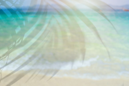 Beautiful tropical white sand beach with wave foam and palm leaf shadow, Summer vacation and Travel background with copy spaceの写真素材