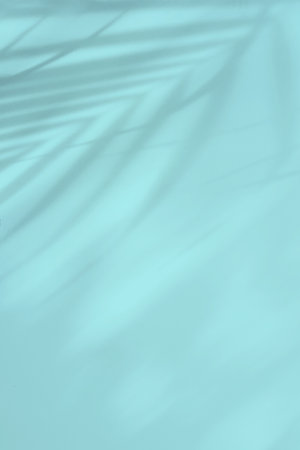 Tropical palm leaves shadow on pastel color background with copy spaceの写真素材