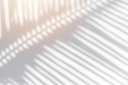 Shadow of palm leaves sway in the wind on white backgroundの写真素材