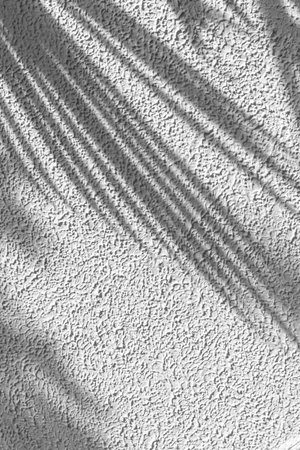 Shadow of leaves sway in the wind on rough wall background