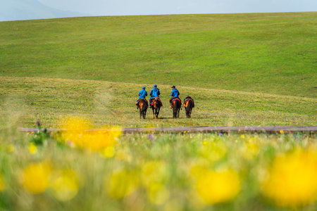 Tourist riding horses and enjoying beautiful Scenery landscape with colorful flowers in Kalajun...