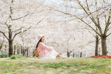 Young woman tourist relaxing and enjoying  beautiful full bloom cherry blossom on a clear spring dayの写真素材