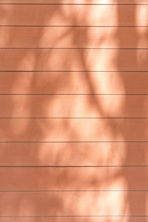 Shadow of tree on wooden backgroundの写真素材