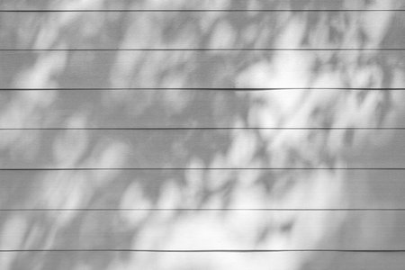 Close up of shadow of tree on wooden backgroundの写真素材