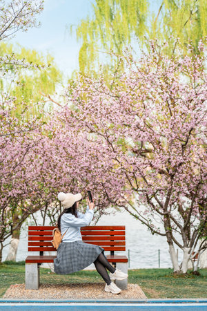Young female tourist relaxing and enjoying beautiful full bloom cherry blossom on a clear spring dayの写真素材