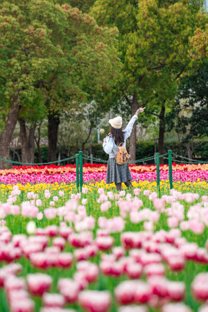Young woman tourist enjoying beautiful tulip flower field in the park on a fine spring dayの写真素材