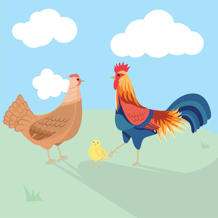 Rooster hen and chickのイラスト素材
