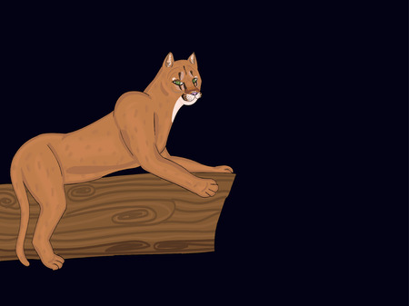 Tribute to the Eastern cougar that has gone extinct in America.のイラスト素材