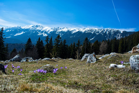 Hiking on the road from Zarnesti to the Piatra Craiului mountains, in Romania.