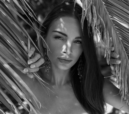 Young beauty wearing swimwear under the palm treeの写真素材