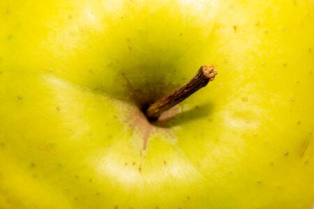 bright green apple stalk close-up in the center. backgroundの写真素材