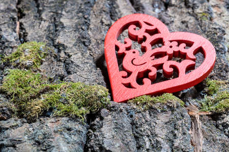 red heart with a pattern on the bark of a tree with moss, close-upの写真素材