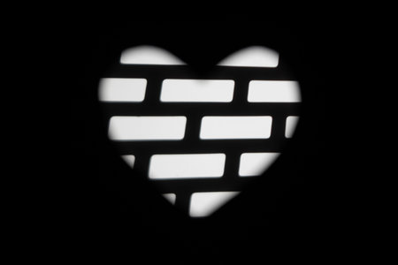 white heart on a black background with different patterns, graphics