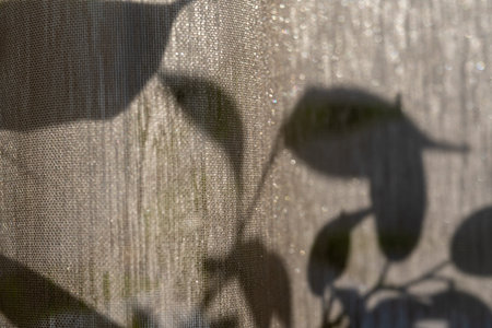 sunny morning light through the window, shadow from plants on tulle, close-up.の写真素材