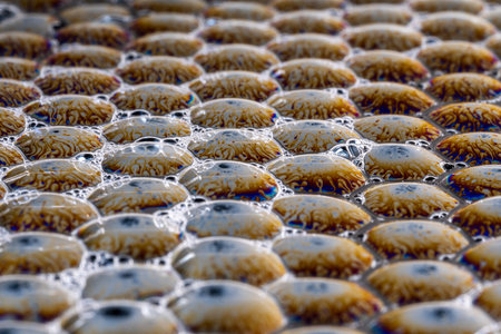 Abstraction soap bubbles. fire on bubbles. Ideal honeycomb shapes. macro.