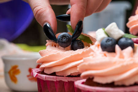 Pastry girl decorates cupcakes with mint, marshmallows and blueberries. Close-up.の写真素材