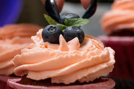 Pastry girl decorates cupcakes with mint, marshmallows and blueberries. Close-up.の写真素材