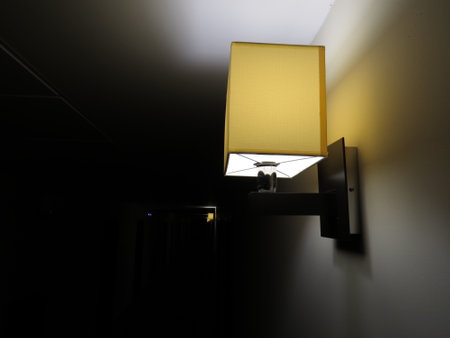 Square lamp in the hallway of the hotel.の写真素材