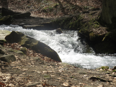 Small cascading waterfall Shypit in the Ukrainian Carpathians.の写真素材