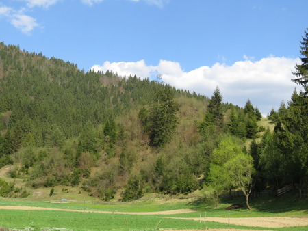 Meadows, valleys, fields and Ukrainian Carpathian mountains.の写真素材