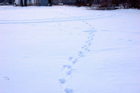 Traces of the recent past a man.の写真素材
