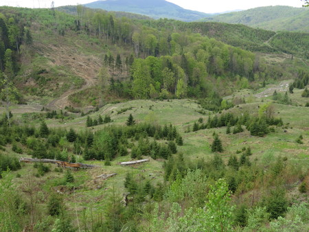 Polonyny Carpathian Mountains and forests in the background in summer.の写真素材