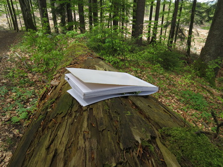 White notebook lying on the tree in the forest.の写真素材