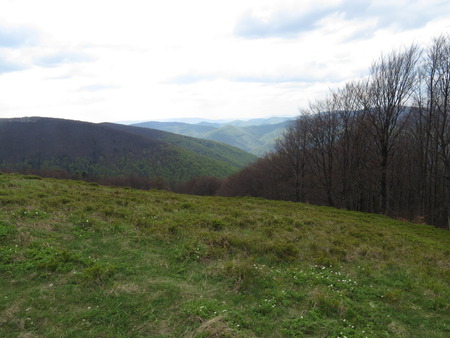 Polonyny Carpathian Mountains and forests in the background in summer.の写真素材