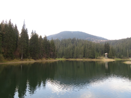 Synevir Lake in the Carpathian Mountains in the early morning.の写真素材