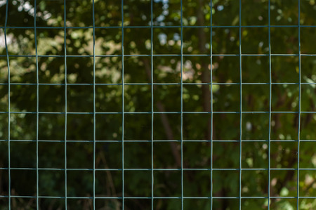 Metal square grid in the garden on a background of greenery.の写真素材