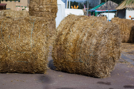Round stack of hay lying on the road near the house.