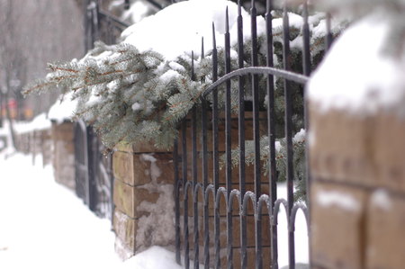 An ancient forged fence made of metal and stone in winter against a background of snow-covered streets and fir-trees.の写真素材