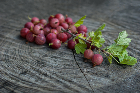 Many ripe berries of gooseberry on a wooden background.の写真素材